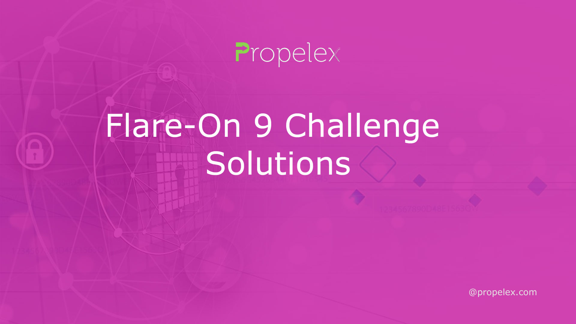 Flare-On 9 Challenge Solutions
