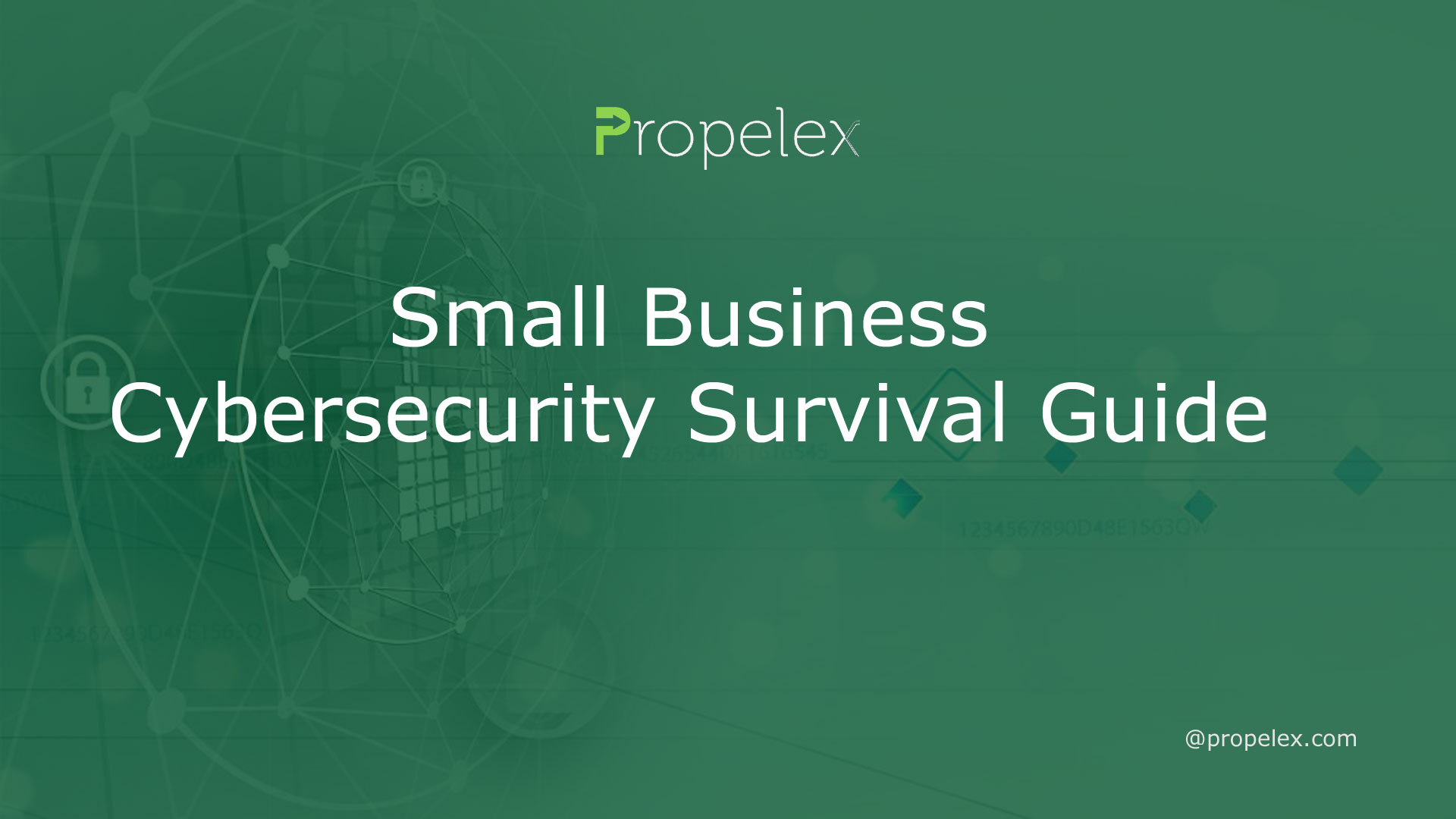 Small Business Cybersecurity Survival Guide