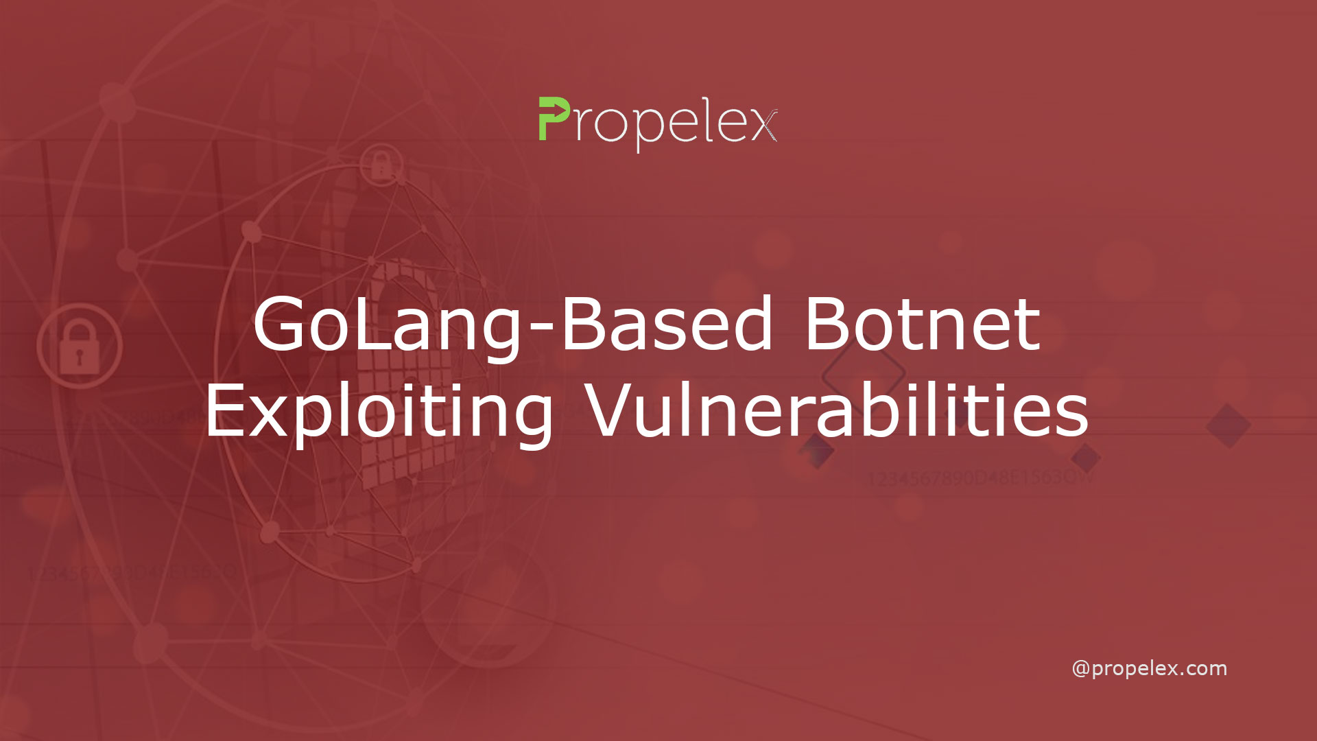 GoLang-Based Botnet Exploiting Vulnerabilities